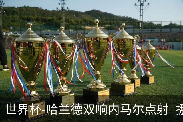 世界杯-哈兰德双响内马尔点射 挪威2-1淘汰巴西进8强