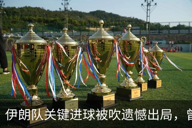 伊朗队关键进球被吹遗憾出局，曾任教哈佛大学的伊朗学者向FIFA索赔10亿美元