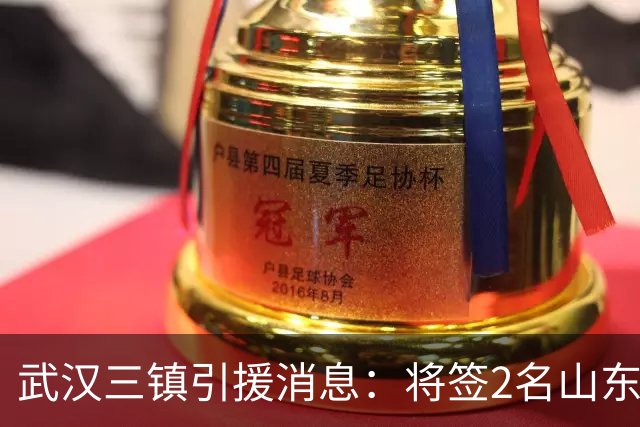 武汉三镇引援消息：将签2名山东泰山国脚内援